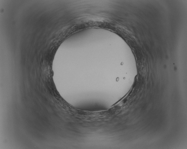 X0000078241061200612011559