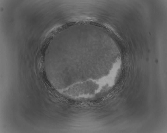 X0000078241063200612011559