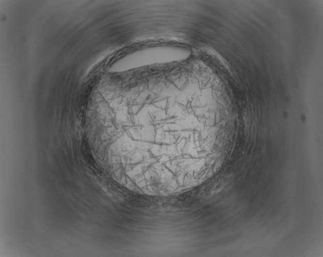 X0000078241064200612011559