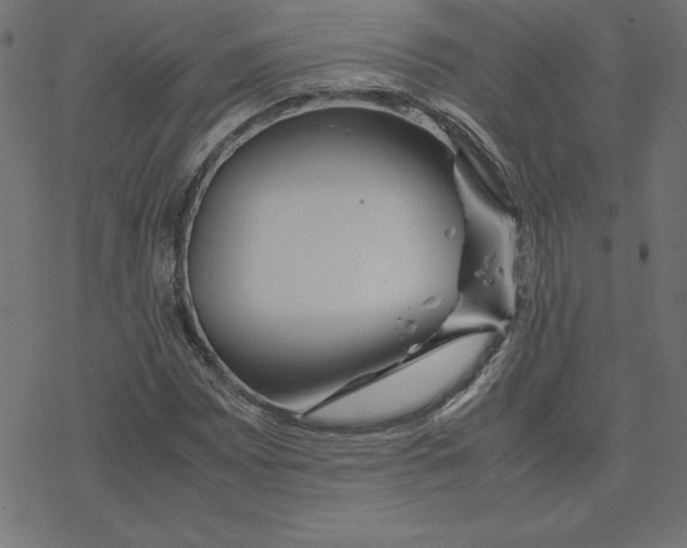 X0000078241065200612011559