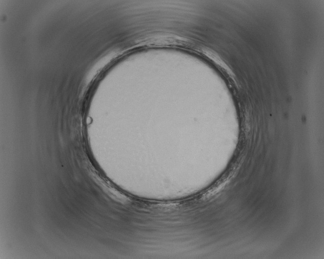 X0000078241067200612011559