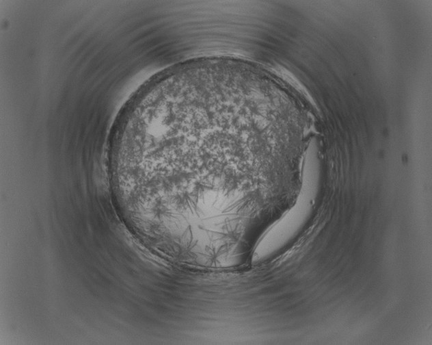 X0000078241068200612011559