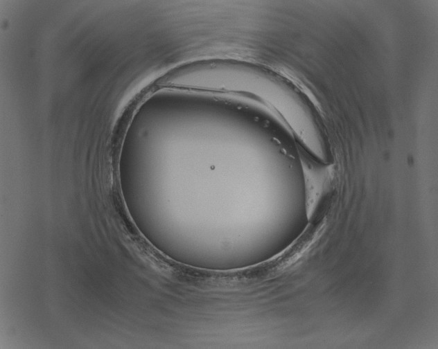 X0000078241069200612011559