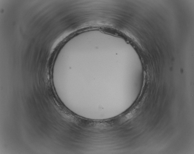 X0000078241070200612011559