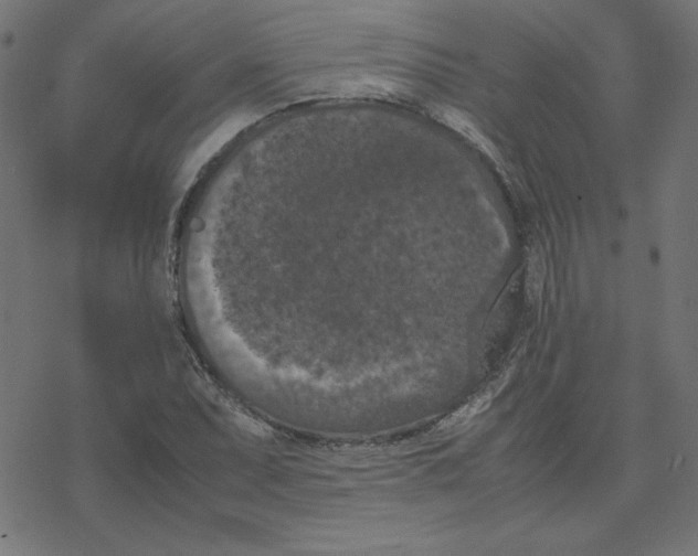 X0000078241071200612011559