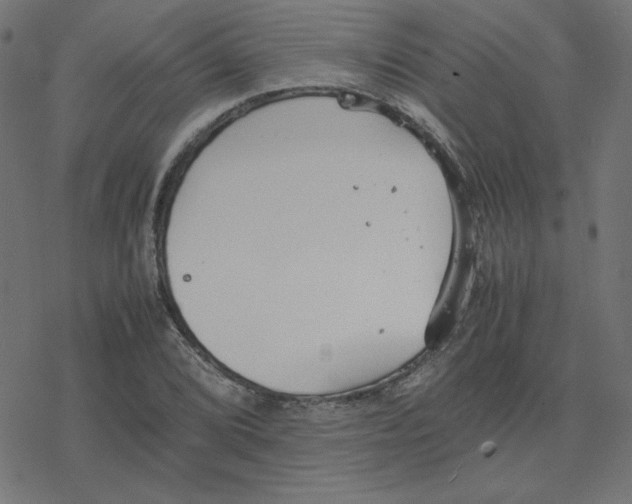 X0000078241072200612011559