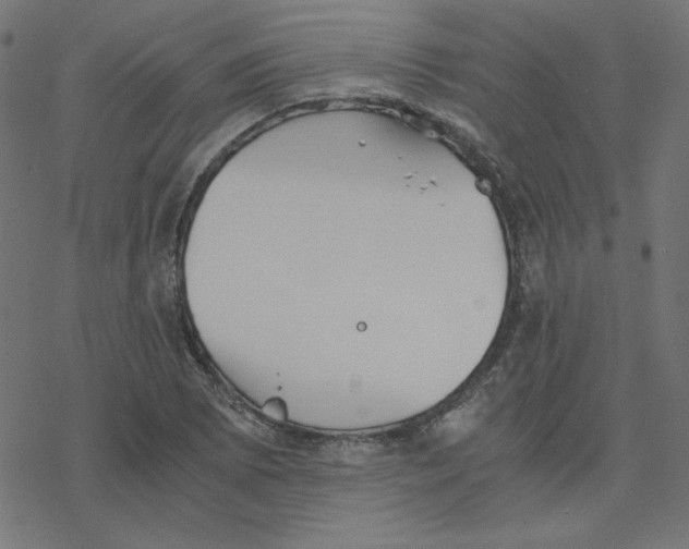 X0000078241073200612011559