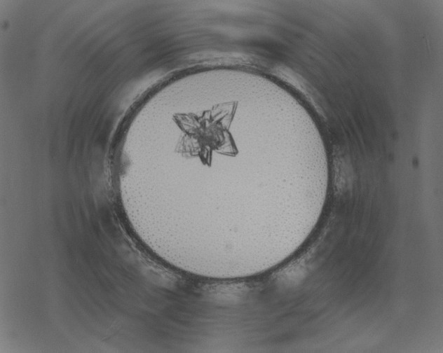 X0000078241074200612011559