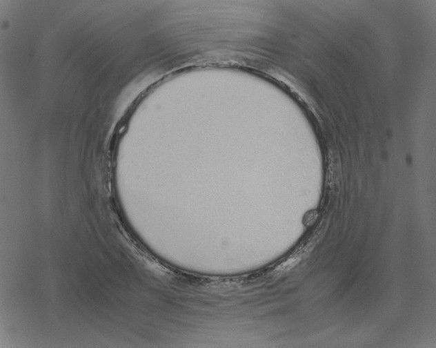 X0000078241075200612011559