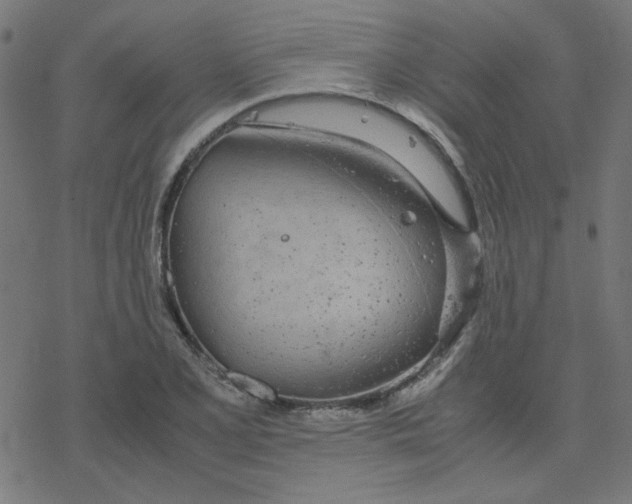 X0000078241077200612011559