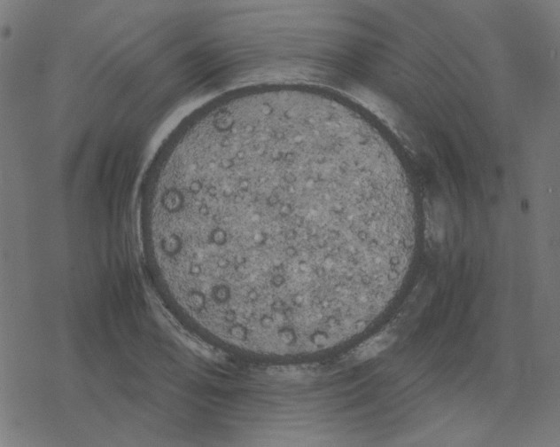 X0000078241078200612011559