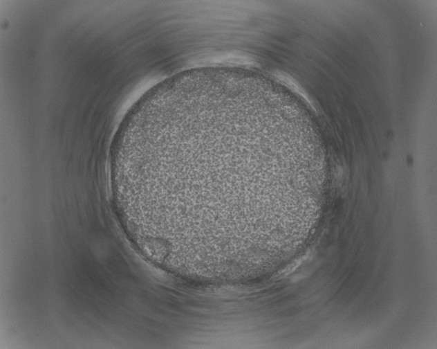 X0000078241079200612011559