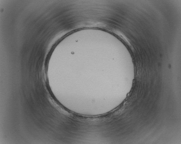 X0000078241080200612011559