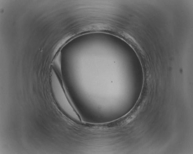 X0000078241081200612011559