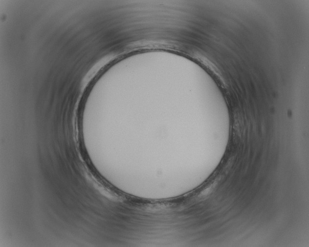 X0000078241082200612011559