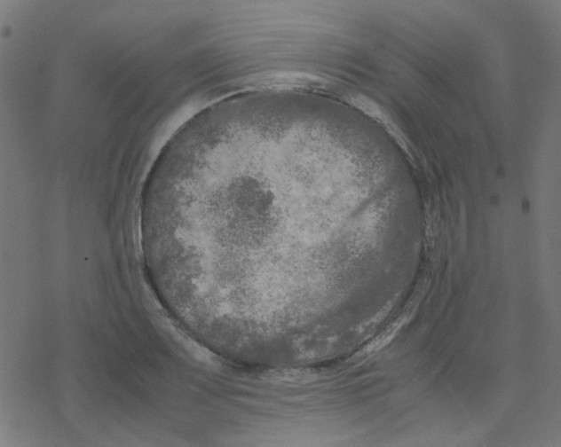 X0000078241083200612011558