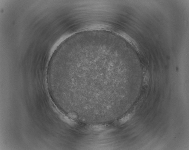 X0000078241086200612011558