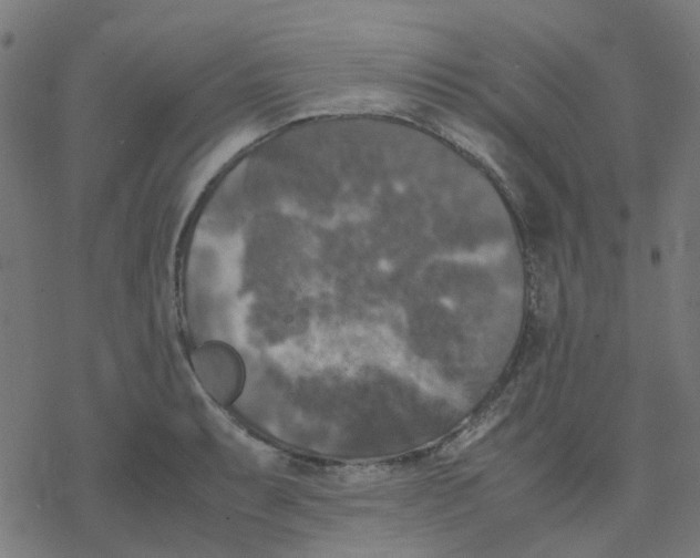 X0000078241087200612011558