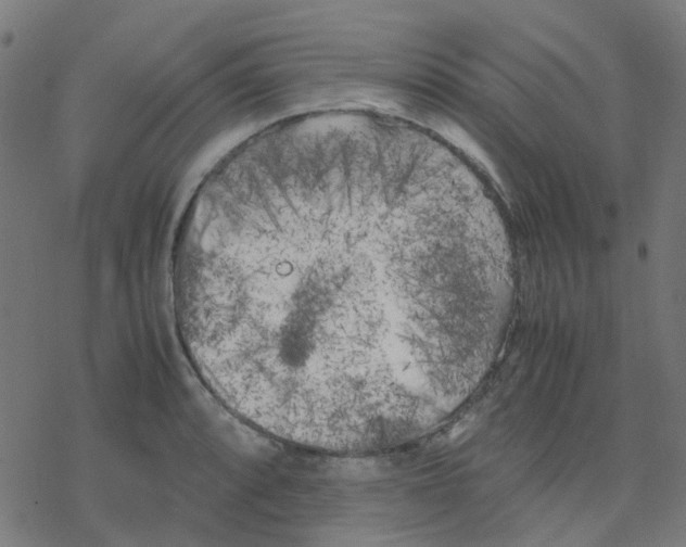 X0000078241088200612011558