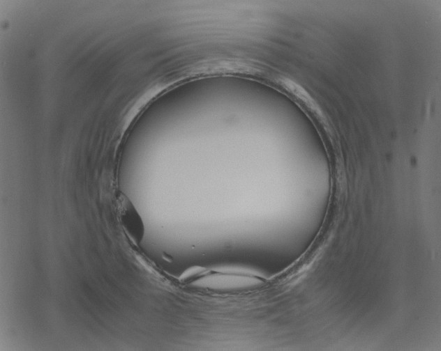 X0000078241089200612011558