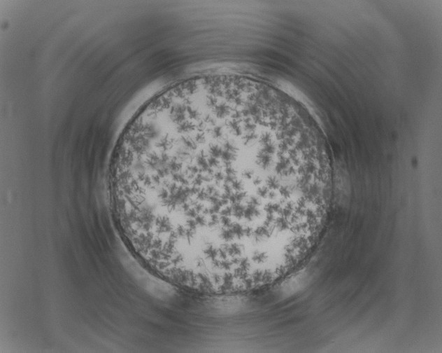 X0000078241090200612011558