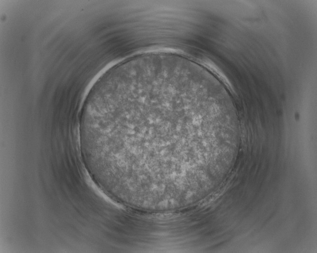 X0000078241092200612011558