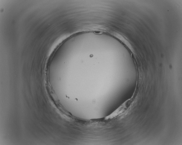 X0000078241093200612011558