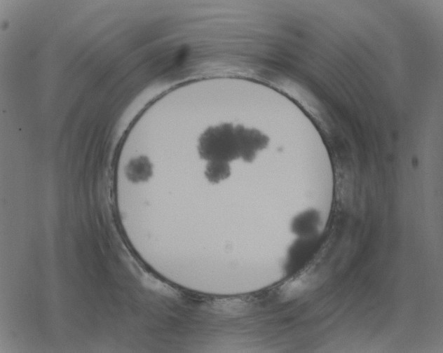 X0000078241094200612011558