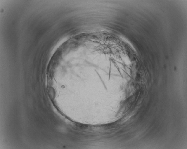 X0000078241095200612011558