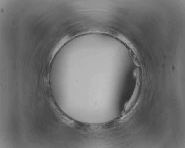 X0000078241097200612011558