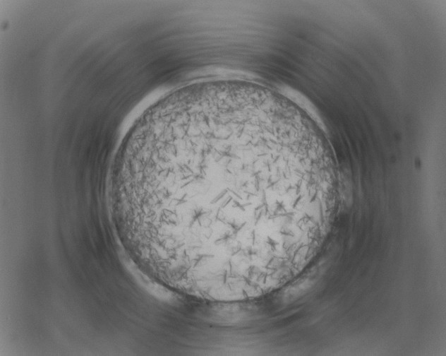 X0000078241098200612011558