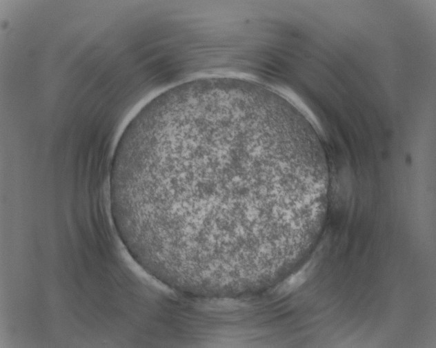 X0000078241100200612011558