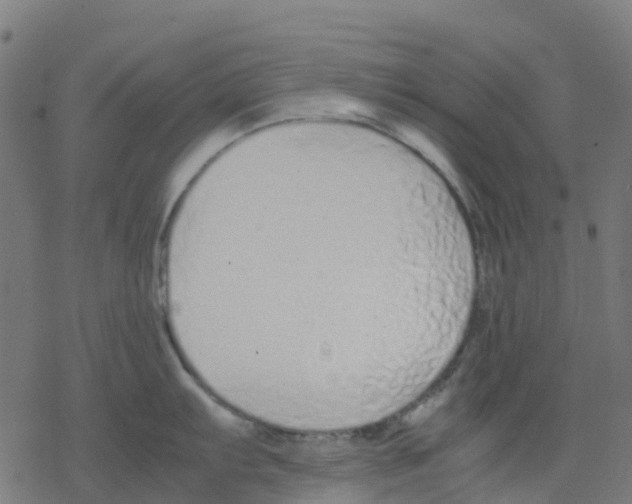 X0000078241103200612011558