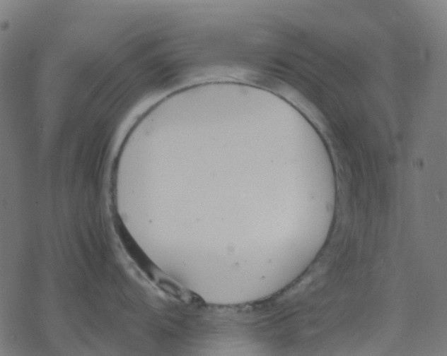 X0000078241104200612011558