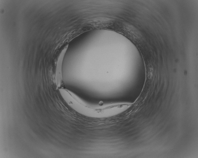 X0000078241108200612011557