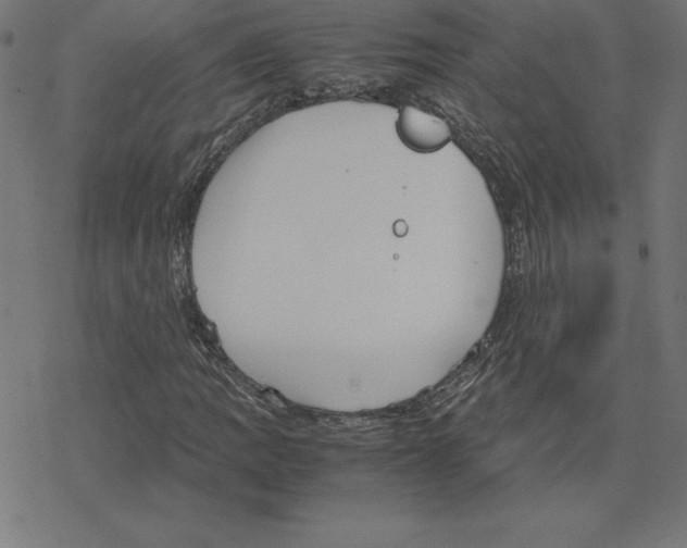 X0000078241109200612011557