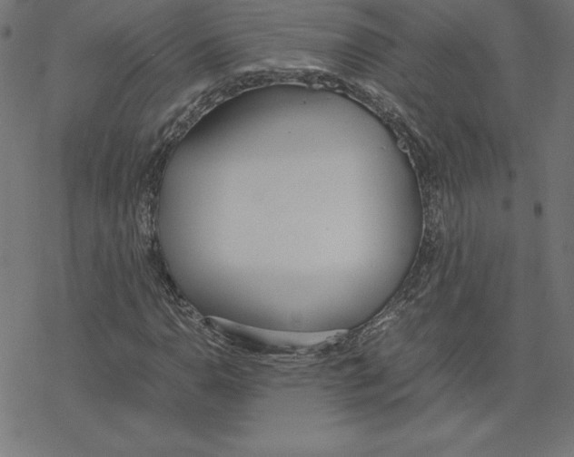 X0000078241110200612011557