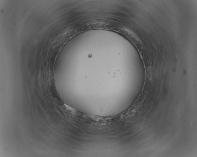 X0000078241111200612011557