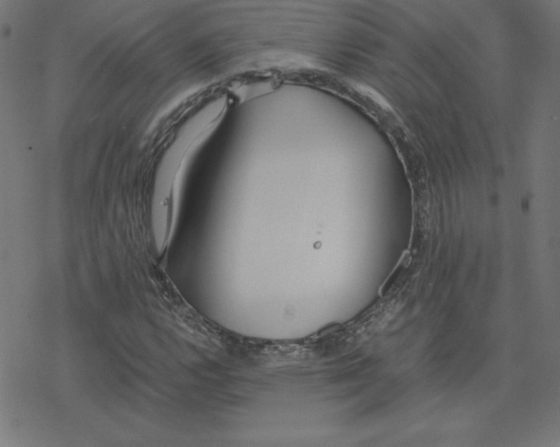 X0000078241112200612011557