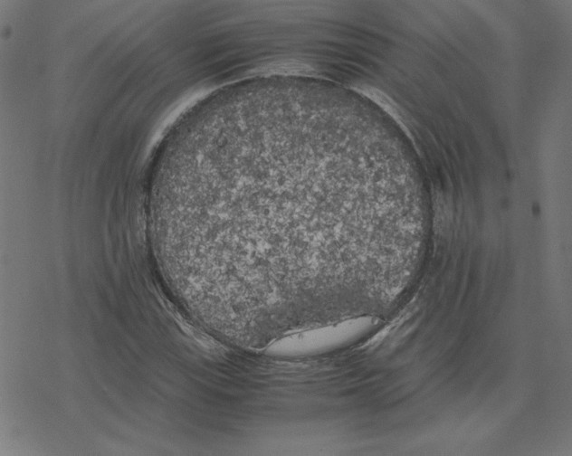 X0000078241115200612011558