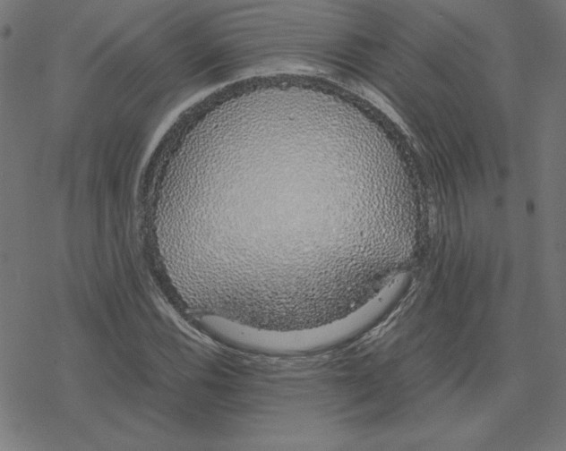 X0000078241116200612011558