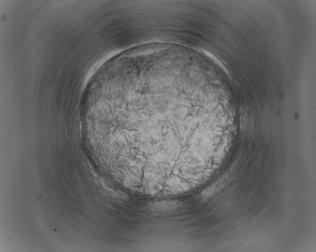 X0000078241117200612011558