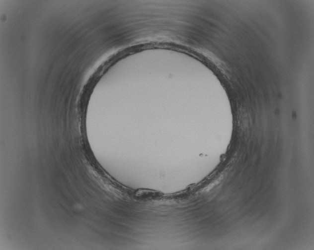 X0000078241118200612011558