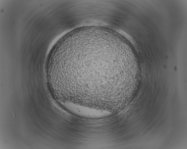 X0000078241120200612011558