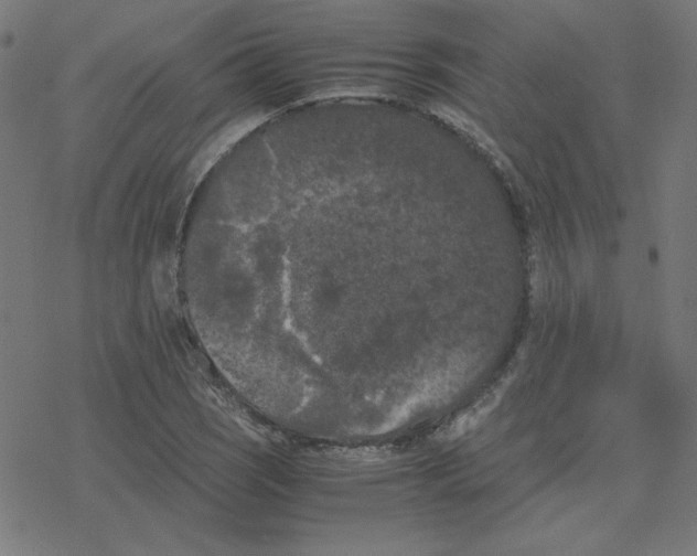 X0000078241121200612011558