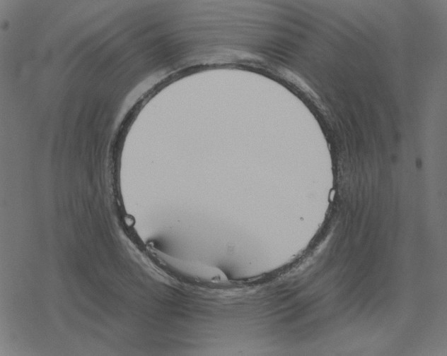 X0000078241122200612011558