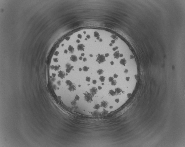 X0000078241123200612011558