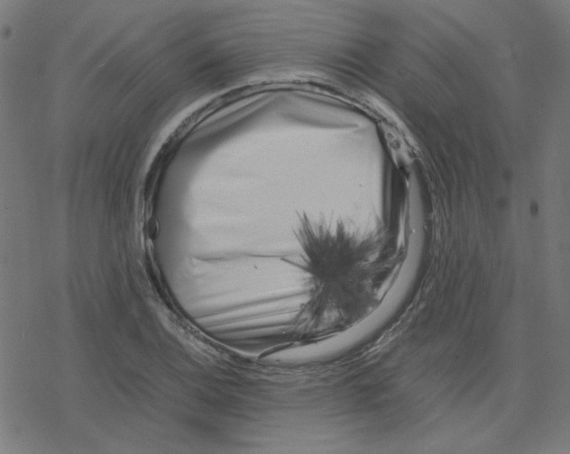 X0000078241124200612011558