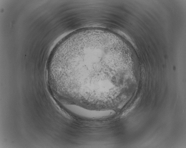 X0000078241125200612011558