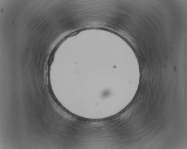 X0000078241126200612011558